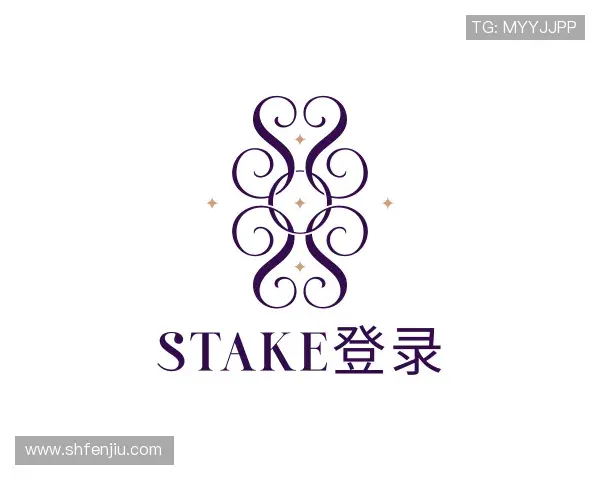 认识Stake下载
